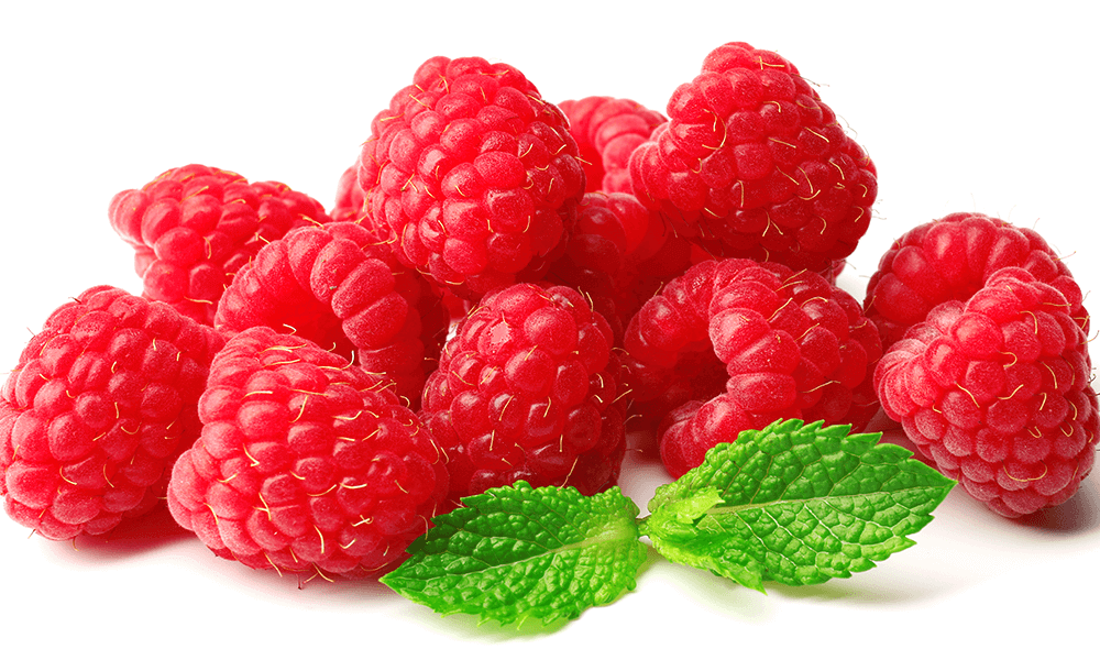 New Animal Research Explores Red Raspberries