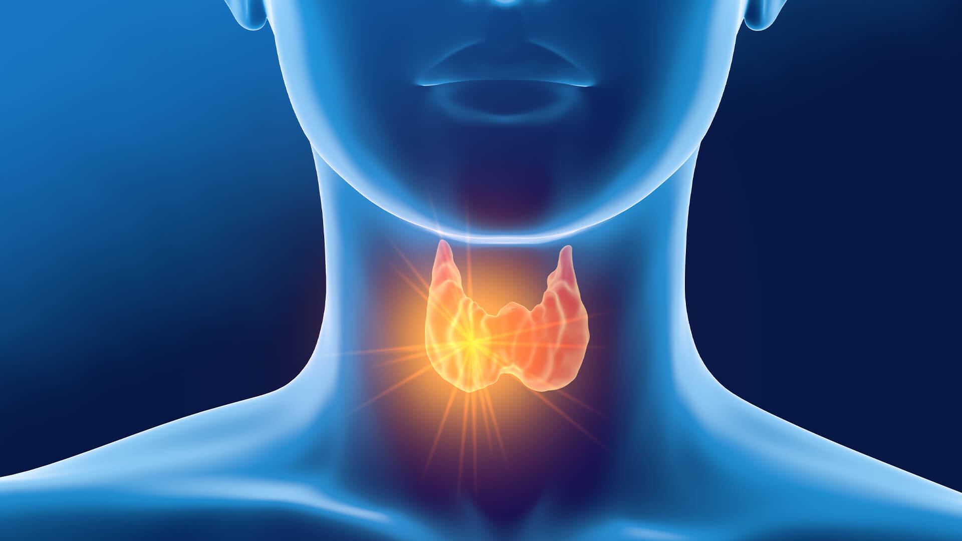 Why You Shouldn’t Ignore Your Thyroid