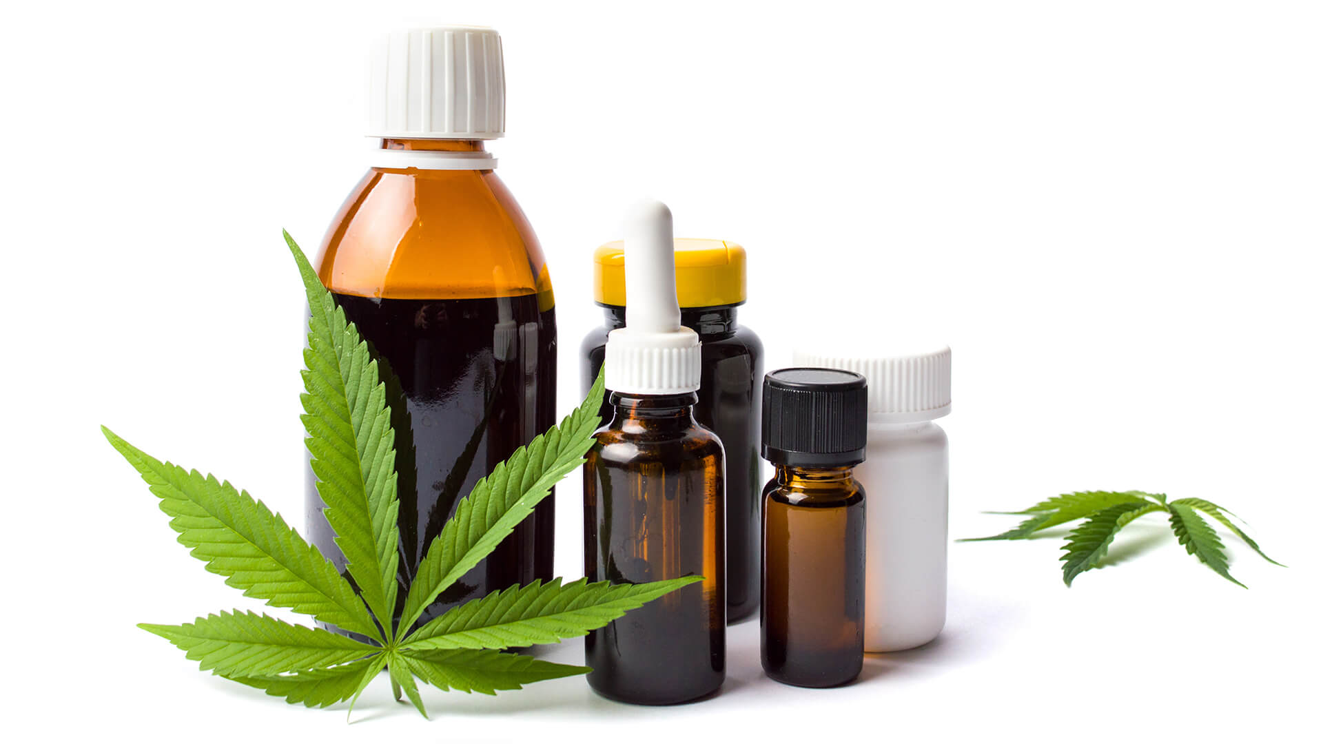 The Future of Medical Cannabis in Pain Management