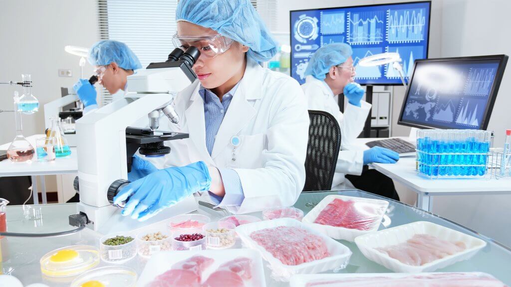 Food Safety 1024x576