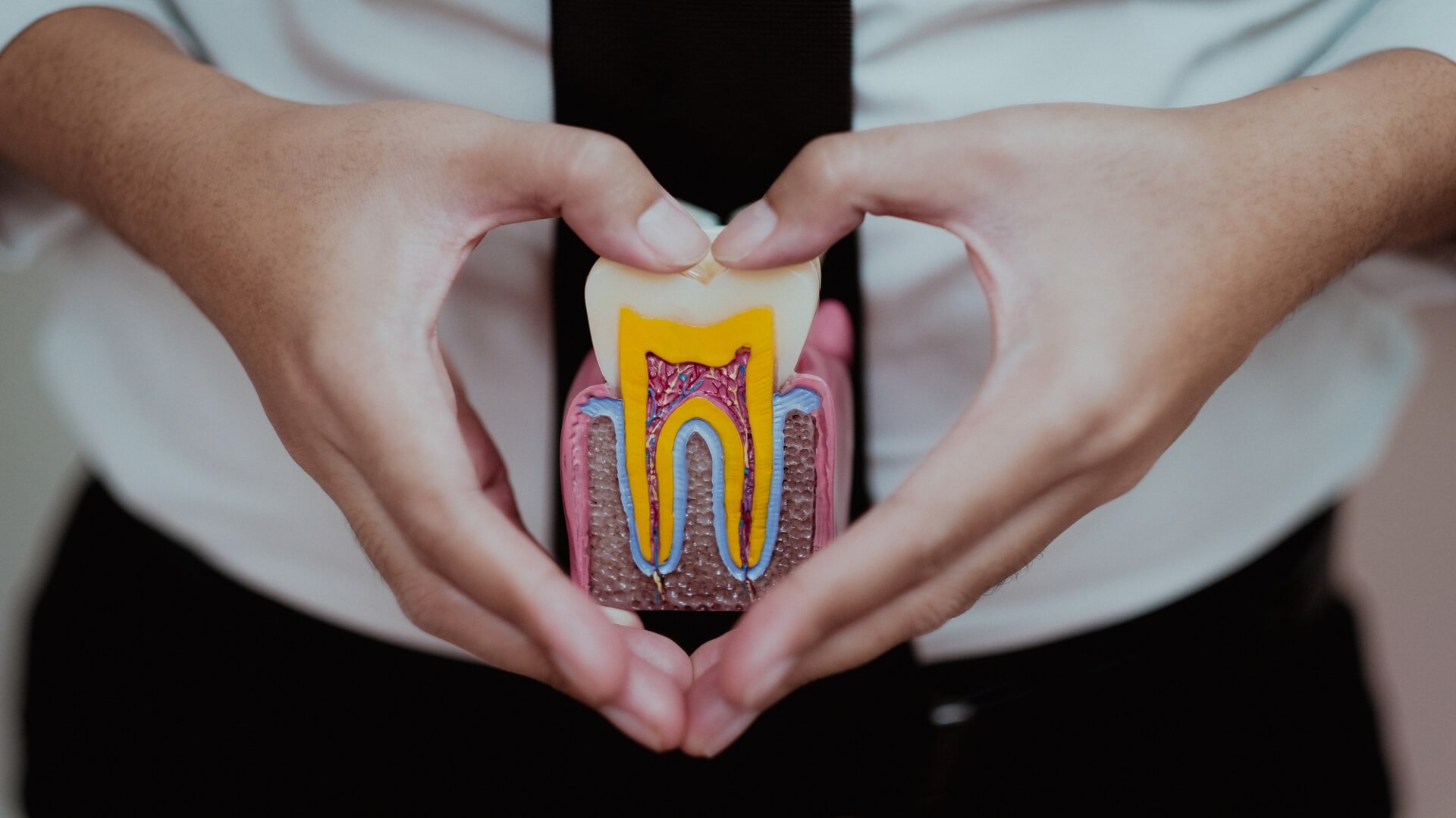 4 Ways An Endodontist Can Help Maintain Your Smile